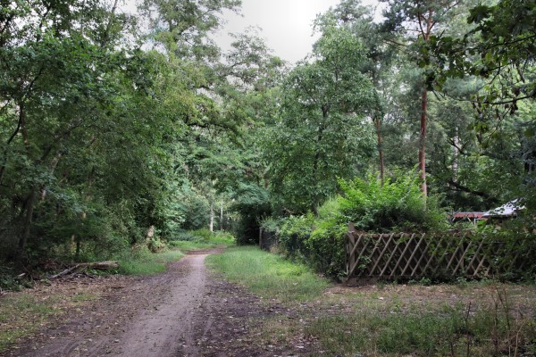 Humboldtallee