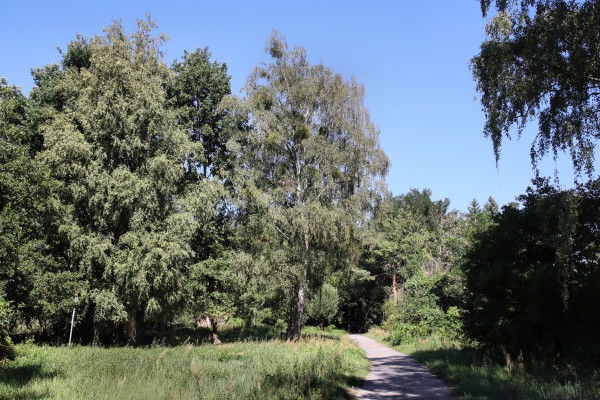Uferpromenade