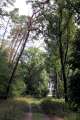 Waldweg