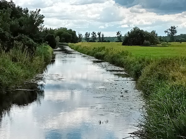 Nieder-Neuendorfer-Kanal
