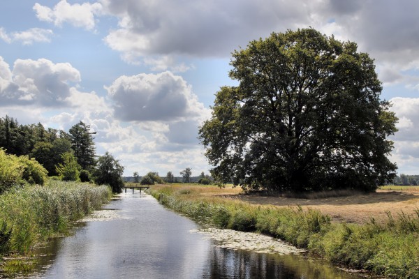 Nieder-Neuendorfer-Kanal