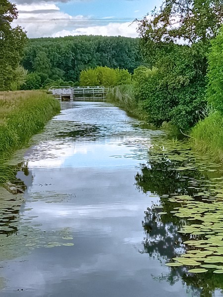 Wehr