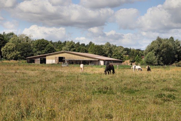Pferdekoppel