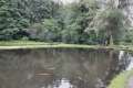 Fischteich