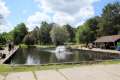 Fischteich