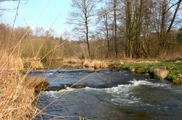 Fischtreppe