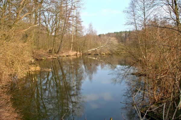 Mühlenstau