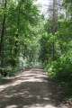 Waldweg