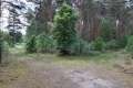 Waldweg