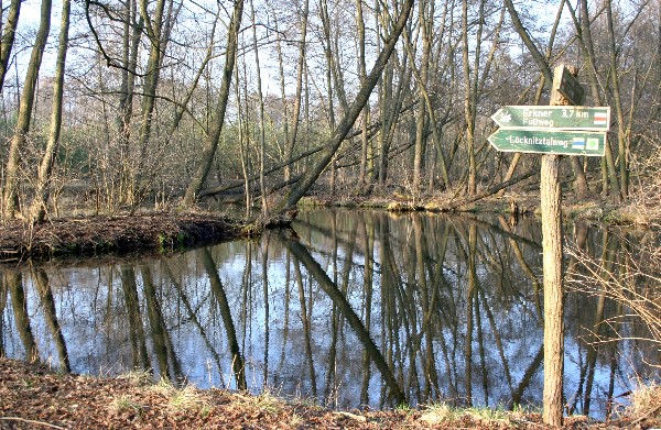 Löcknitz