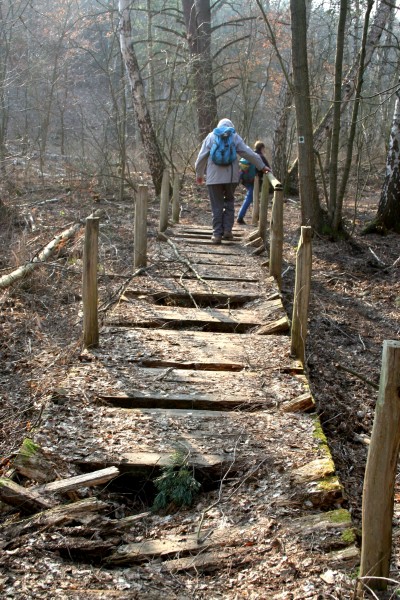 Löcknitztalweg