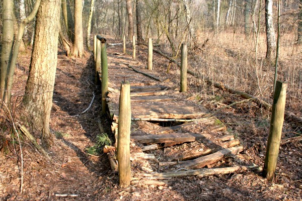 Löcknitztalweg