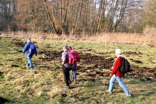 Löcknitztalweg