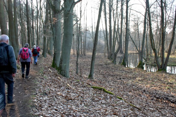 Löcknitztalweg