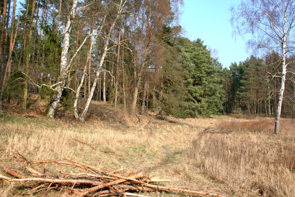 Löcknitzwiesen