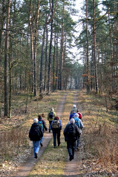 Waldweg