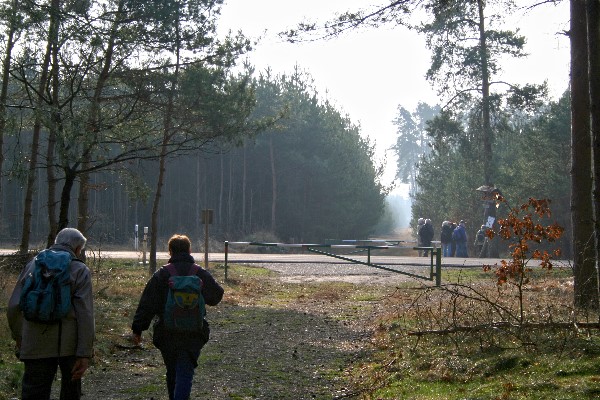 Waldweg