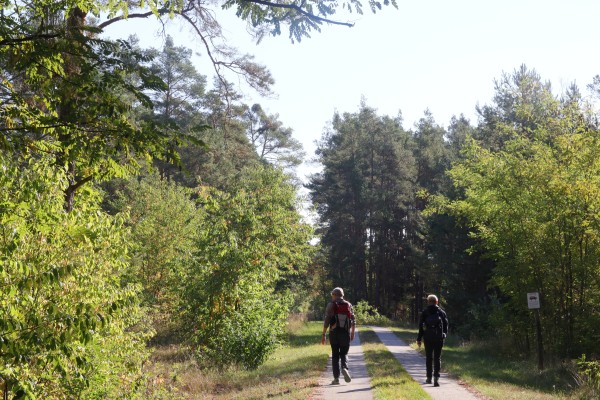 Waldweg