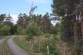 Waldweg
