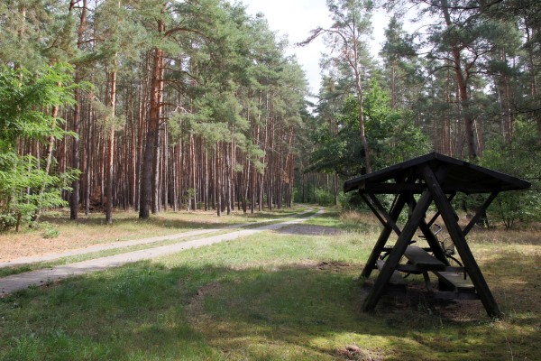 Waldweg