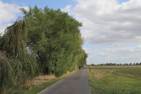 Feldweg