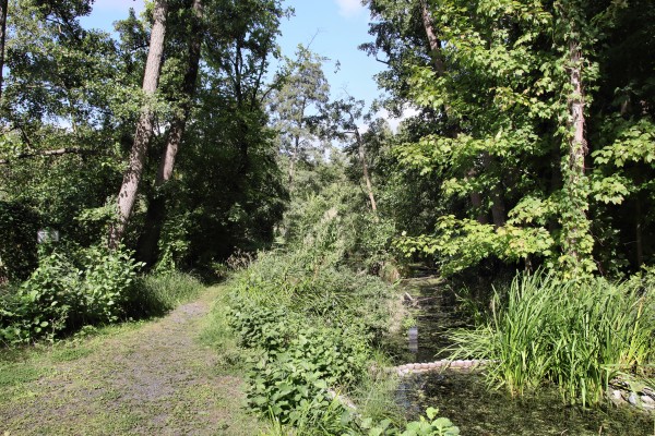 Uferweg