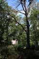 Ribbecker Heide