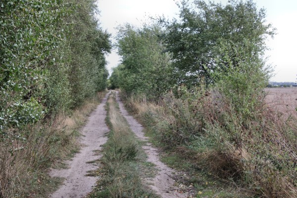 Feldweg