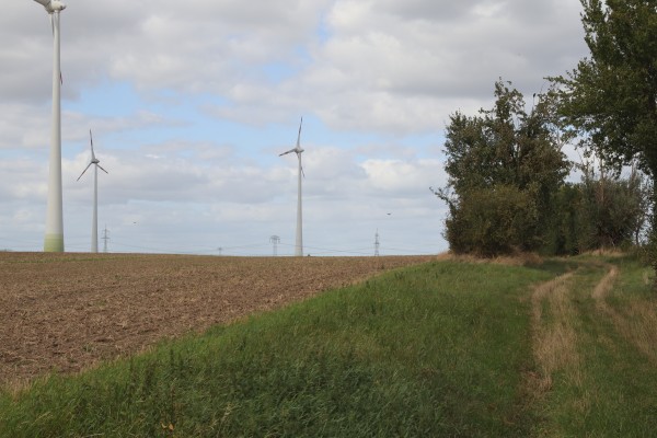 Feldweg