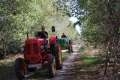 Trecker