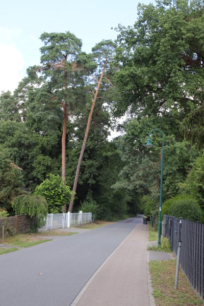 Brandenburgische Straße