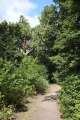 Waldweg