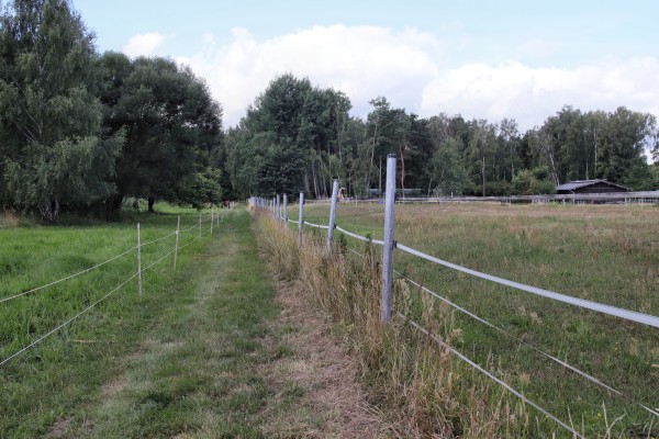 Wiesenweg