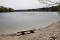 Straussee