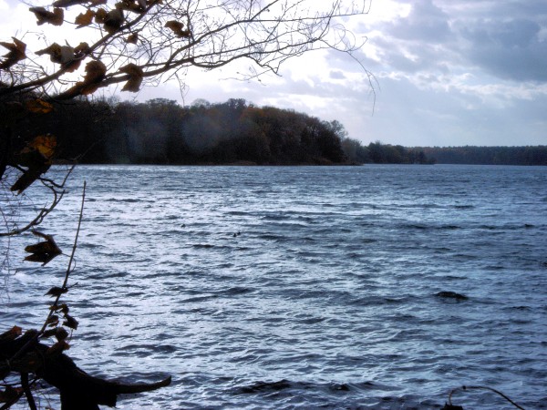 Straussee