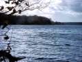 Straussee